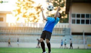 Những tin tức bóng đá