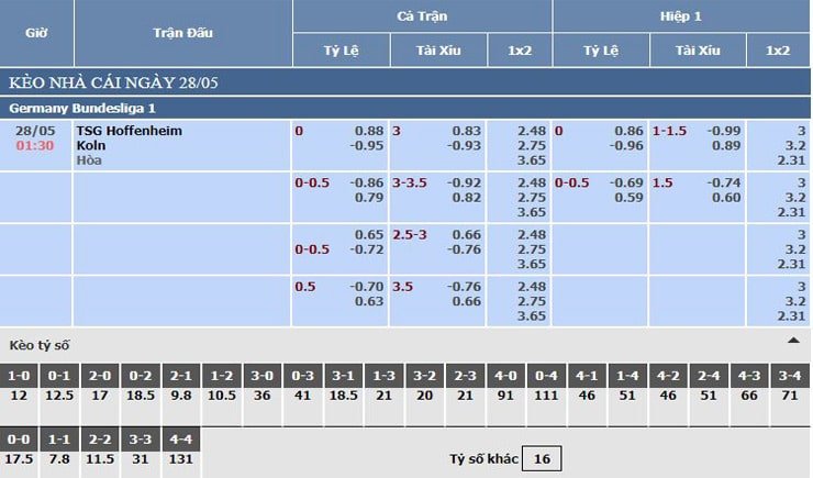 bảng tỷ lệ kèo nhà cái tsg hoffenheim vs koln