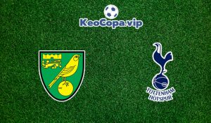 soi kèo Norwich City vs Tottenham